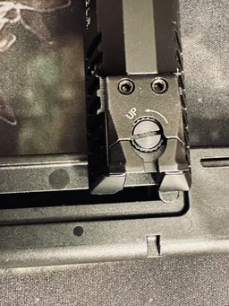 SHADOW 2 .22LR — Miniature 4