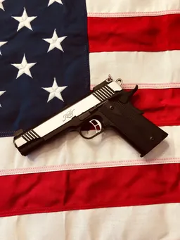 .22LR Custom — Miniature 2