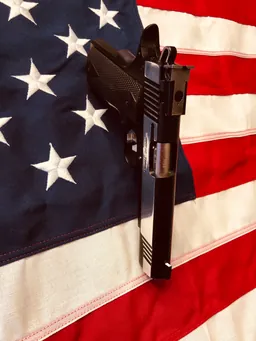 .22LR Custom — Miniature 7