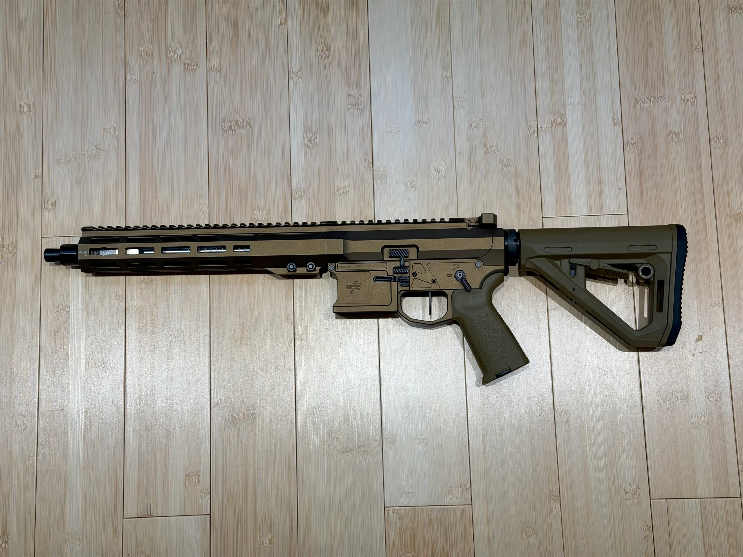 Q15F — Image 1