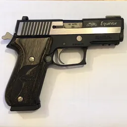 P220 EQUINOX (780396) — Miniature 1
