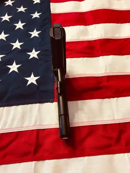 .22LR Custom — Miniature 6